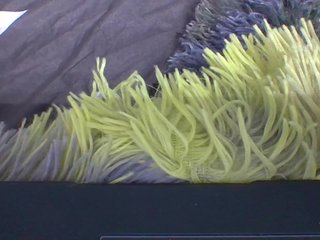 MoniqX0XandBrozovX Porn Show