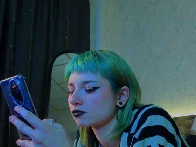 Scarle-Whisper webcam