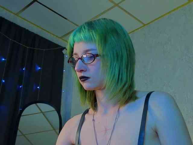 Scarle-Whisper webcam