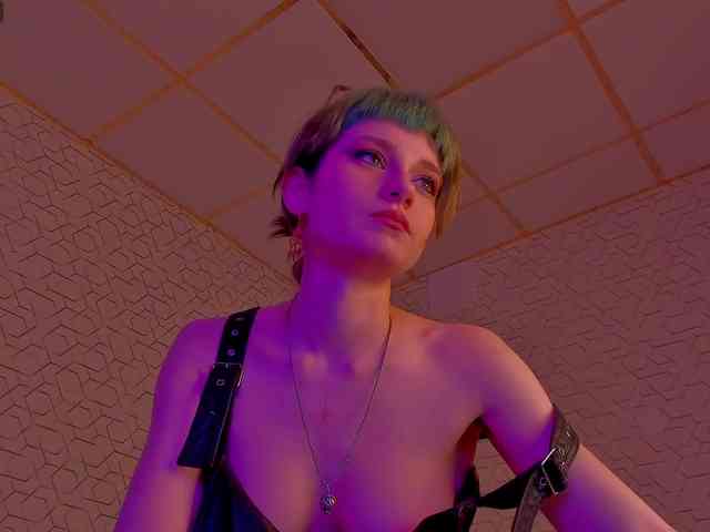 Scarle-Whisper webcam