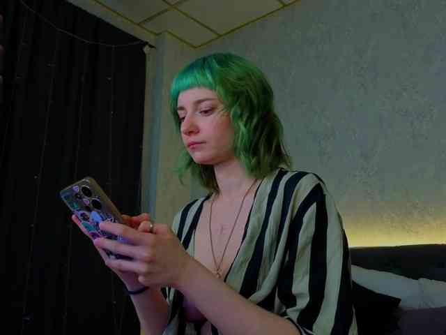 Scarle-Whisper webcam