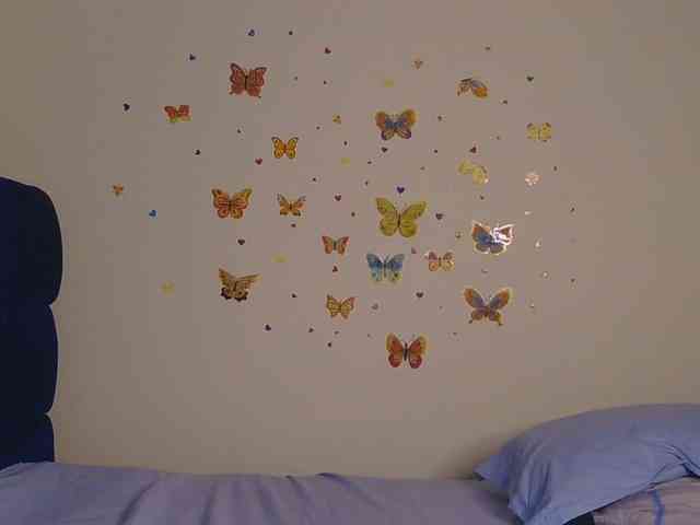 KittyKissess KittyKissess