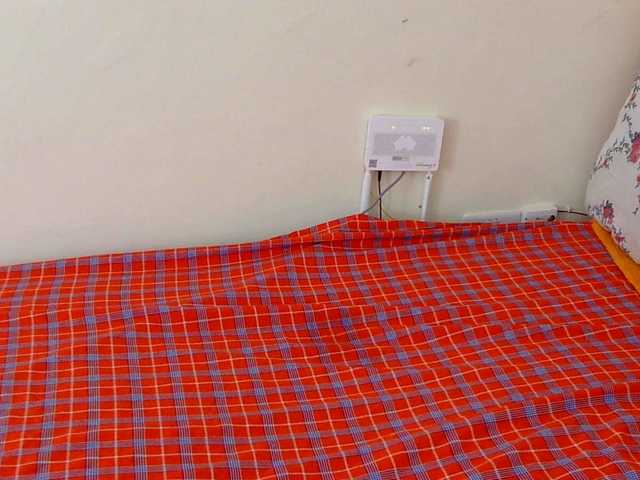 shahonly's BongaCams show and profile