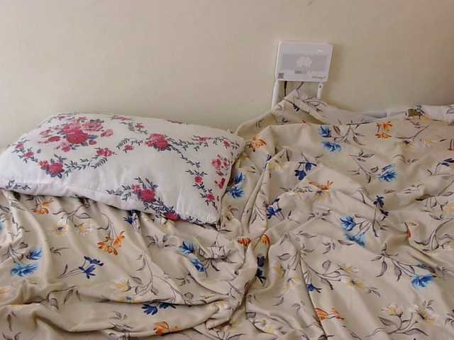 shahonly's BongaCams show and profile