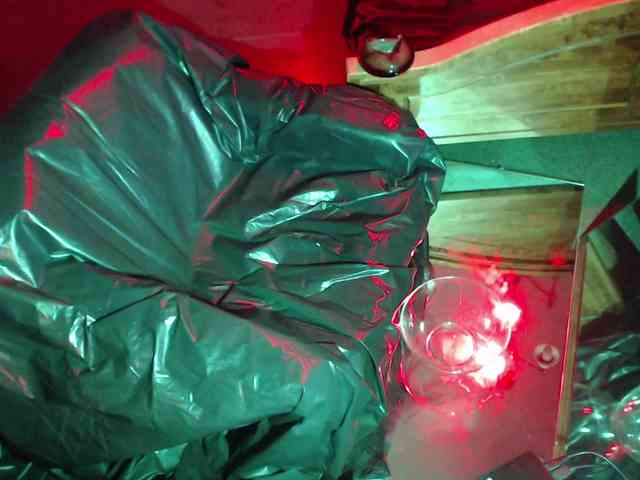 SanPanter