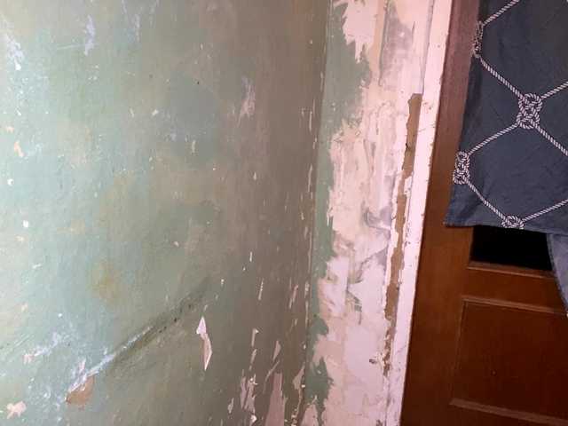 DelindaHeitner's BongaCams show and profile