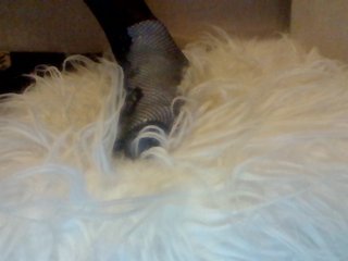 Juanitamami Porn Show