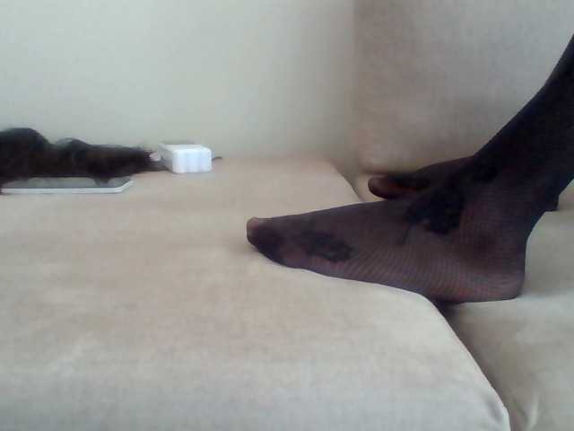 Juanitamami's BongaCams show and profile