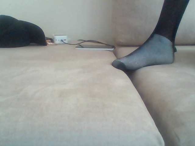 Juanitamami's BongaCams show and profile