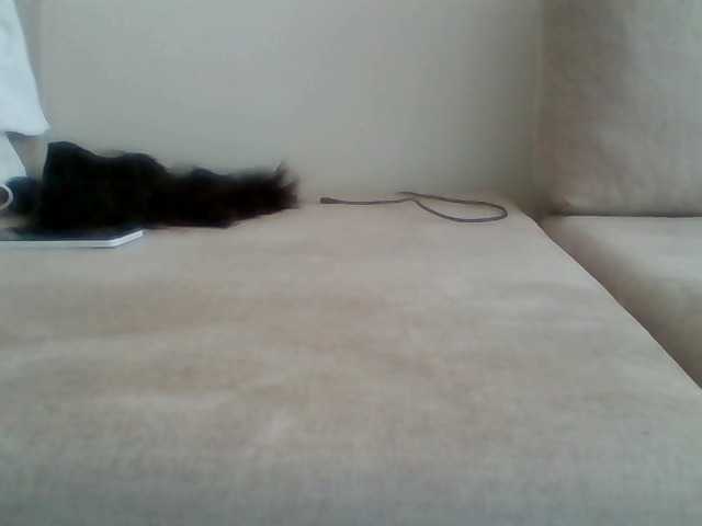 Juanitamami's BongaCams show and profile