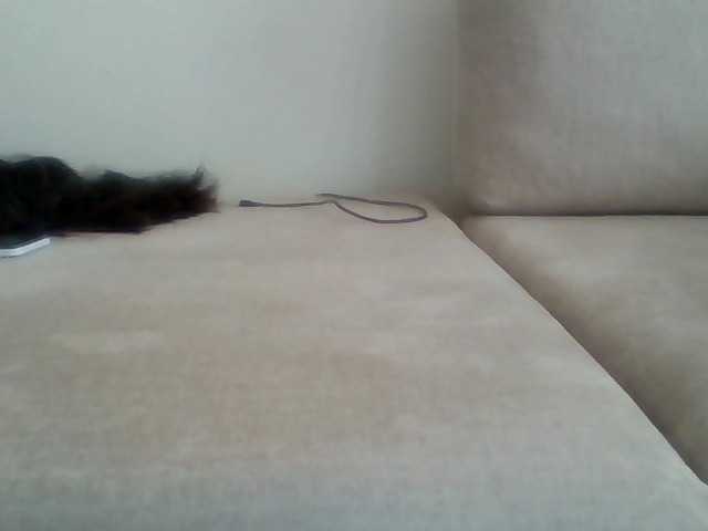 Juanitamami's BongaCams show and profile