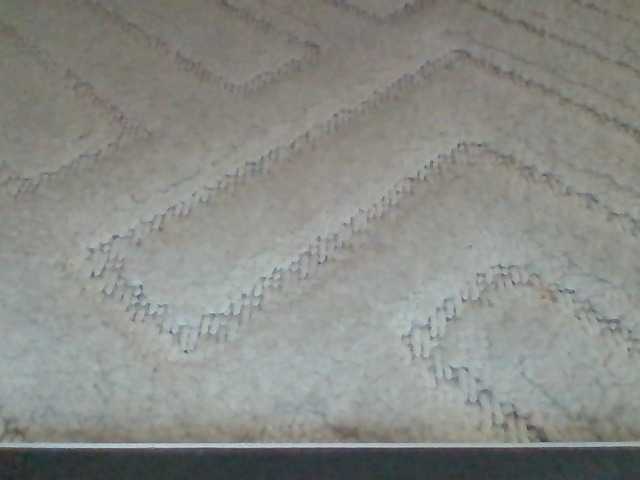 Preview of juanitamami