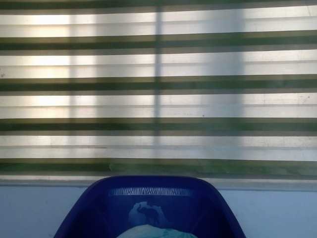 Preview of juicynpink