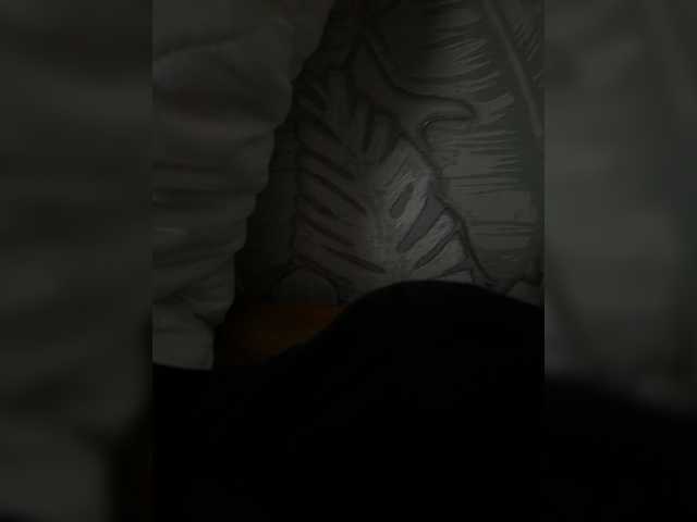 Profile and Statistics for Olga67 on BongaCams