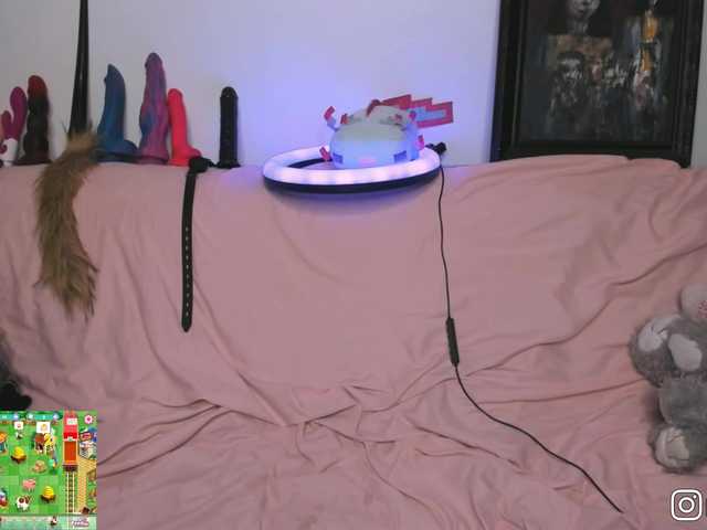 P1nkbutt's BongaCams show and profile