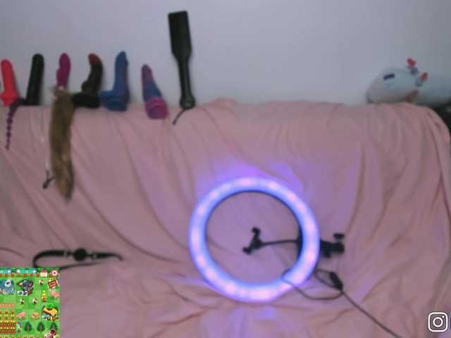 P1nkbutt's BongaCams show and profile