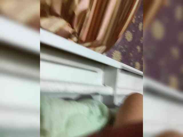 LunaWhisper webcam