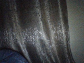 Blue-Print Porn Show