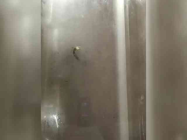 uragankatrin Live Webcam on BongaCams