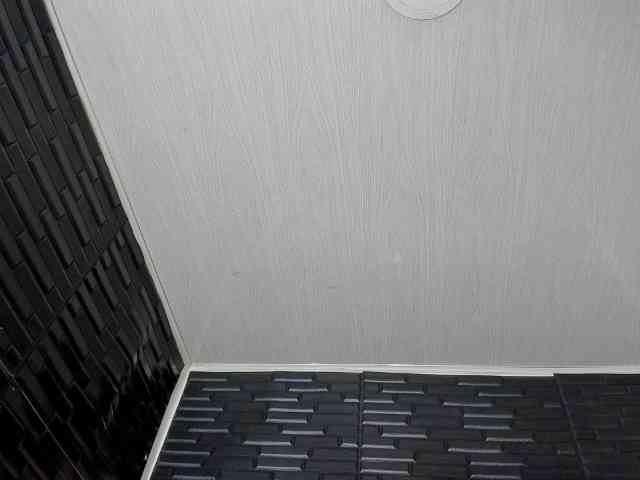 SkyAndWilliams webcam