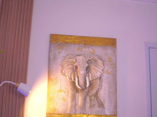 BlackCloverX's BongaCams show and profile