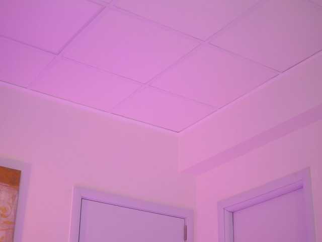 BlackCloverX's BongaCams show and profile