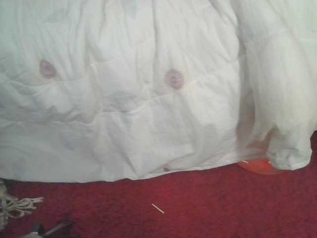 Preview of queenluxee