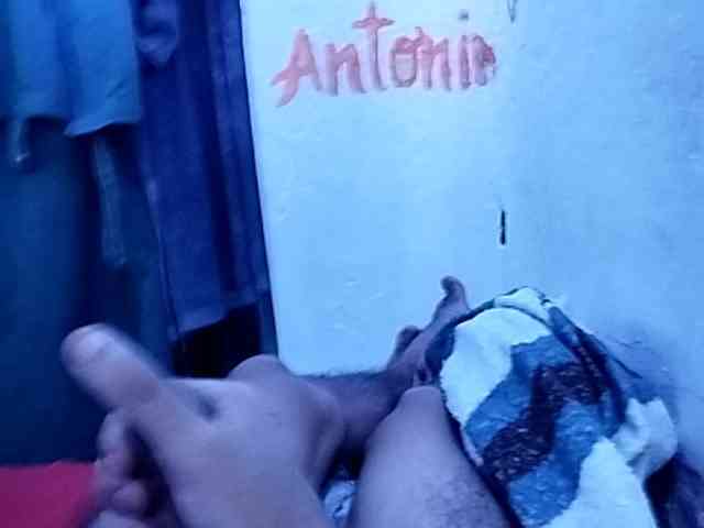 Andr99-11p Andr99-11p