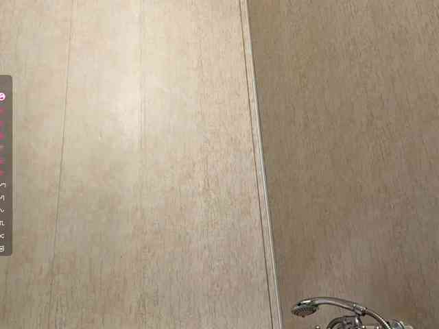 NydiaFuelling webcam