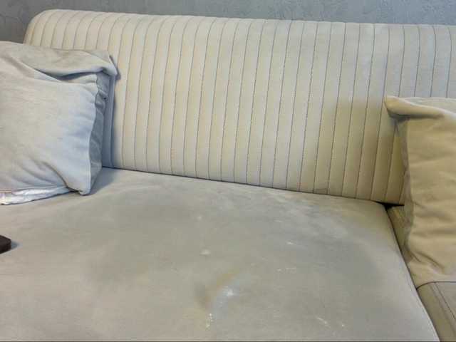 Preview of luna-evans