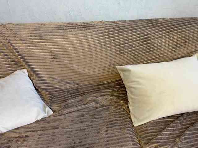 Luna-evans Luna-evans