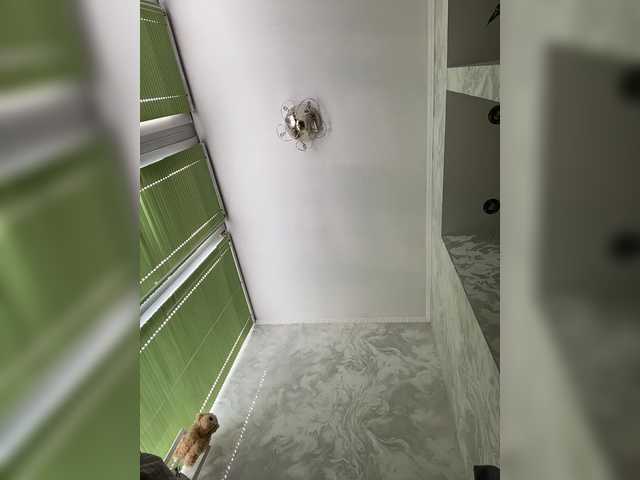 Pe4enkaa's BongaCams show and profile