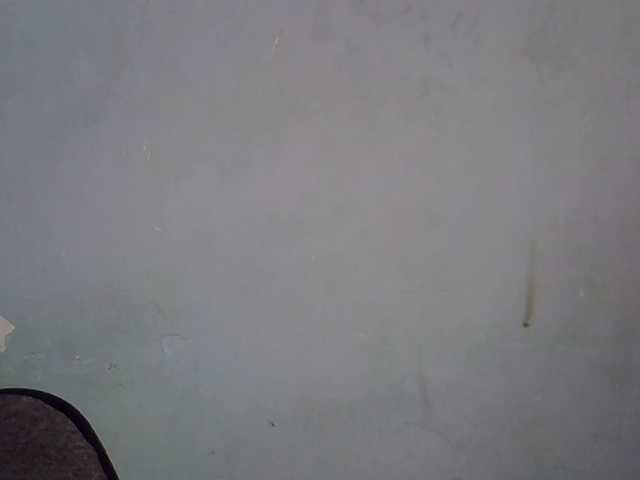 FreakyTrixie's BongaCams show and profile