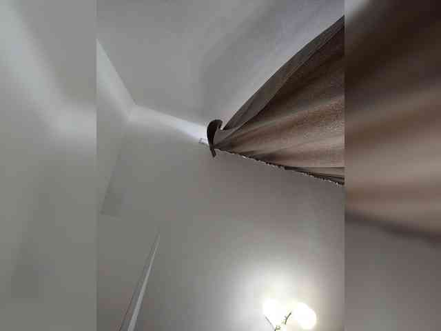 video cam chat Invitado