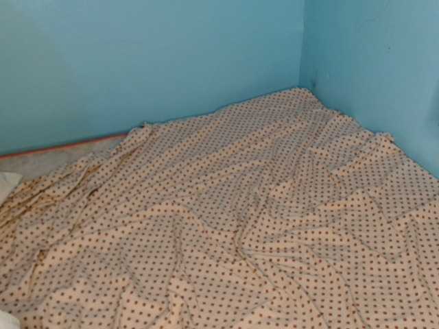 Preview of 1freakymelisa