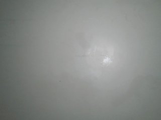 Boughie-birdy Porn Show