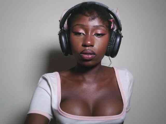 Boughie-birdy webcam