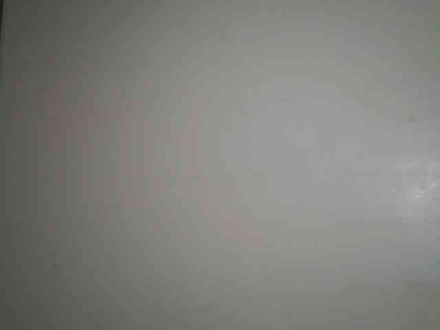 Boughie-birdy webcam