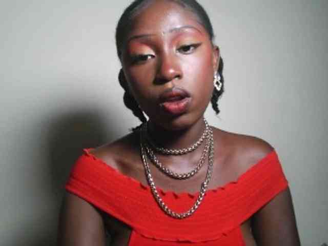 Boughie-birdy webcam