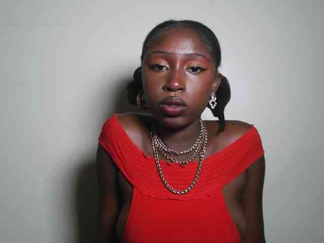 Boughie-birdy webcam