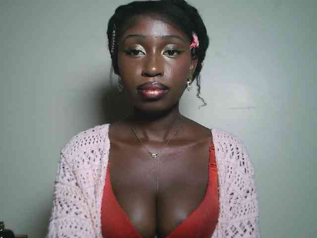 Boughie-birdy webcam