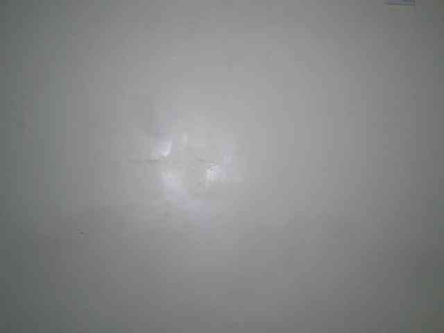 Boughie-birdy webcam