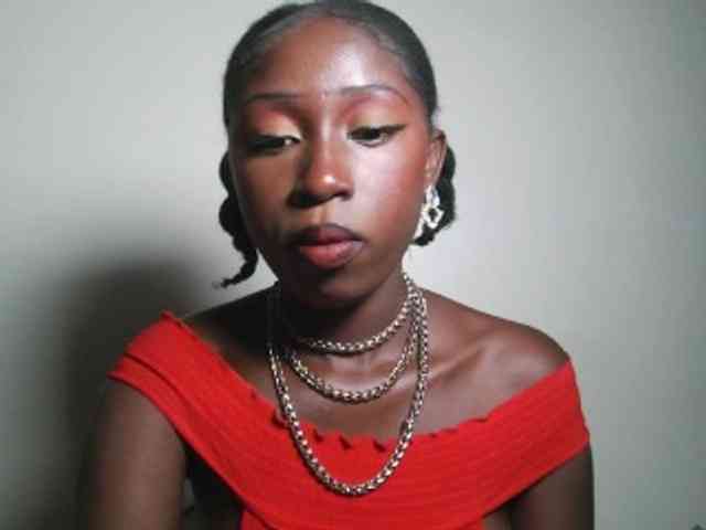 Boughie-birdy webcam