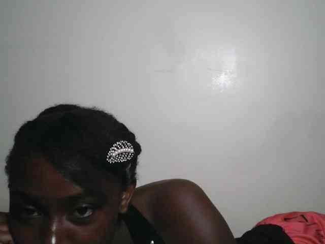 Boughie-birdy webcam