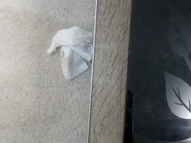 Preview of hornygal1