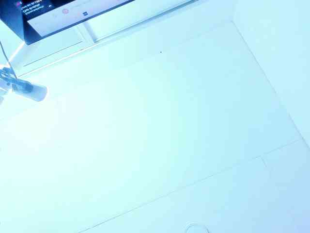 Salome-Austin webcam