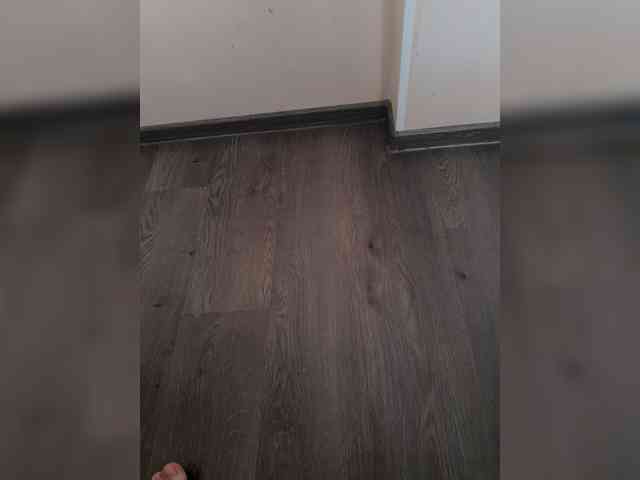 ChaseMePlease webcam