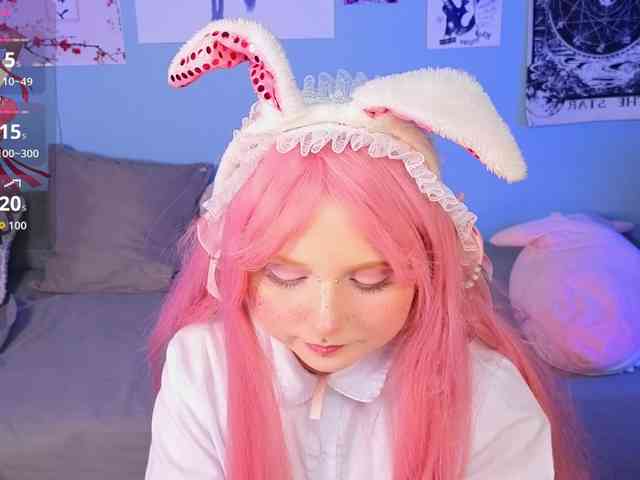 usagi-sasagi webcam