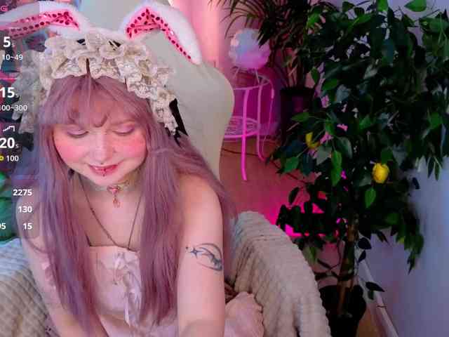 usagi-sasagi webcam