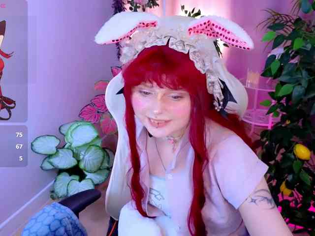 usagi-sasagi webcam